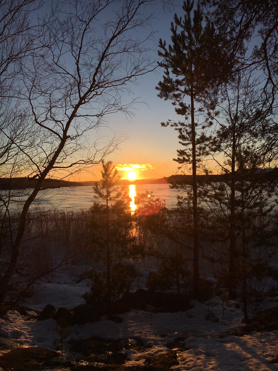 jaanakris's tweet photo. Wanted to catch the light of the first day ☀️.
#thefirstday #thelight #nature #ensimmäinenpäivä #valo #luonto https://t.co/XRWSu9N2f8