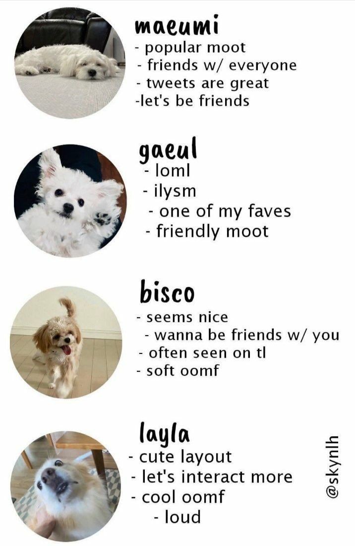 Drop @ 

I need friends:(