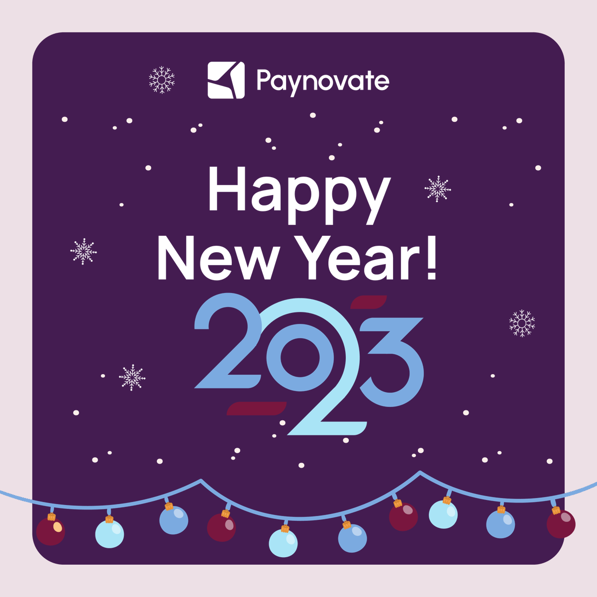 Paynovate: Issuing, Acquiring, IBAN tweet media