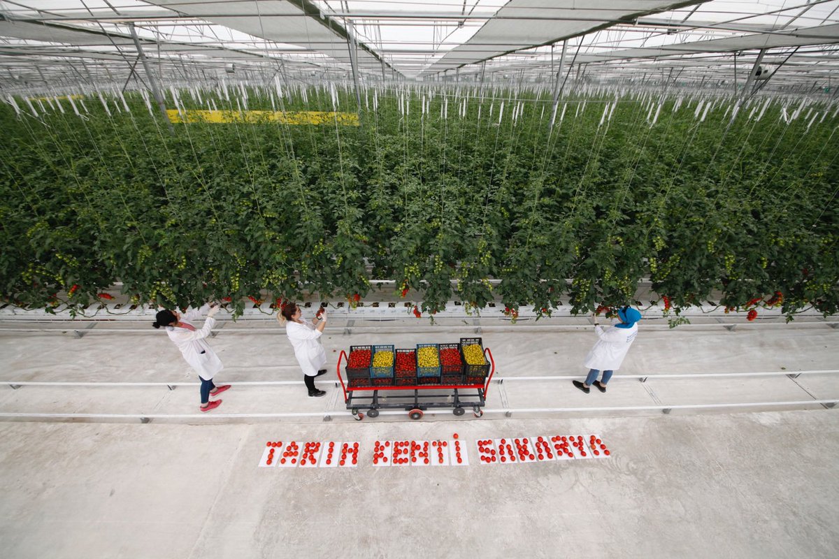 #tarımkentiSakarya
#Seninİçin
 #SakaryaBirBaşka
<a href="/Sakaryabld/">Sakarya Büyükşehir Belediyesi</a> 
<a href="/ekremyuce/">Ekrem Yüce</a>