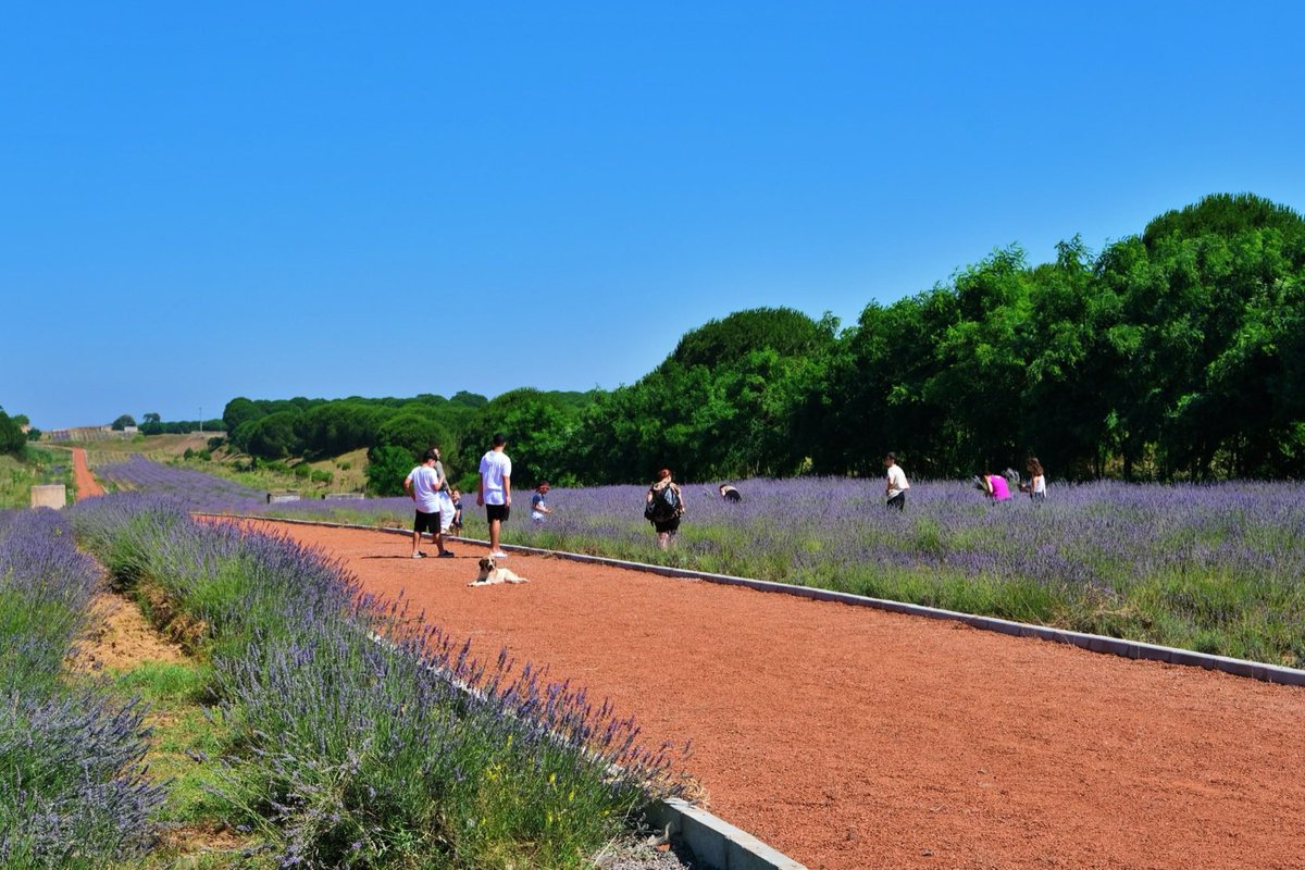 #ÇevrecikentSakarya
#Seninİçin 
#SakaryaBirBaşka 
<a href="/Sakaryabld/">Sakarya Büyükşehir Belediyesi</a>
<a href="/ekremyuce/">Ekrem Yüce</a>