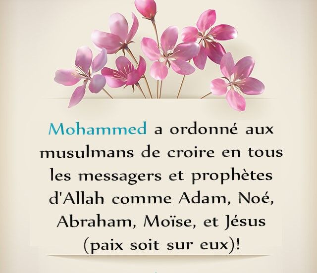 Newmuslimacade1's tweet photo. L'un des personnages les plus importants du Coran est Jésus. Les passages du Coran
sur Jésus sont destinés à confirmer le véritable message de ce grand homme et messager choisi de Dieu et à rectifier les idées fausses à son sujet.
#Jesus #Islam #MessagerdeDieu #convertie #Islam # https://t.co/9VfGvKhk9o
