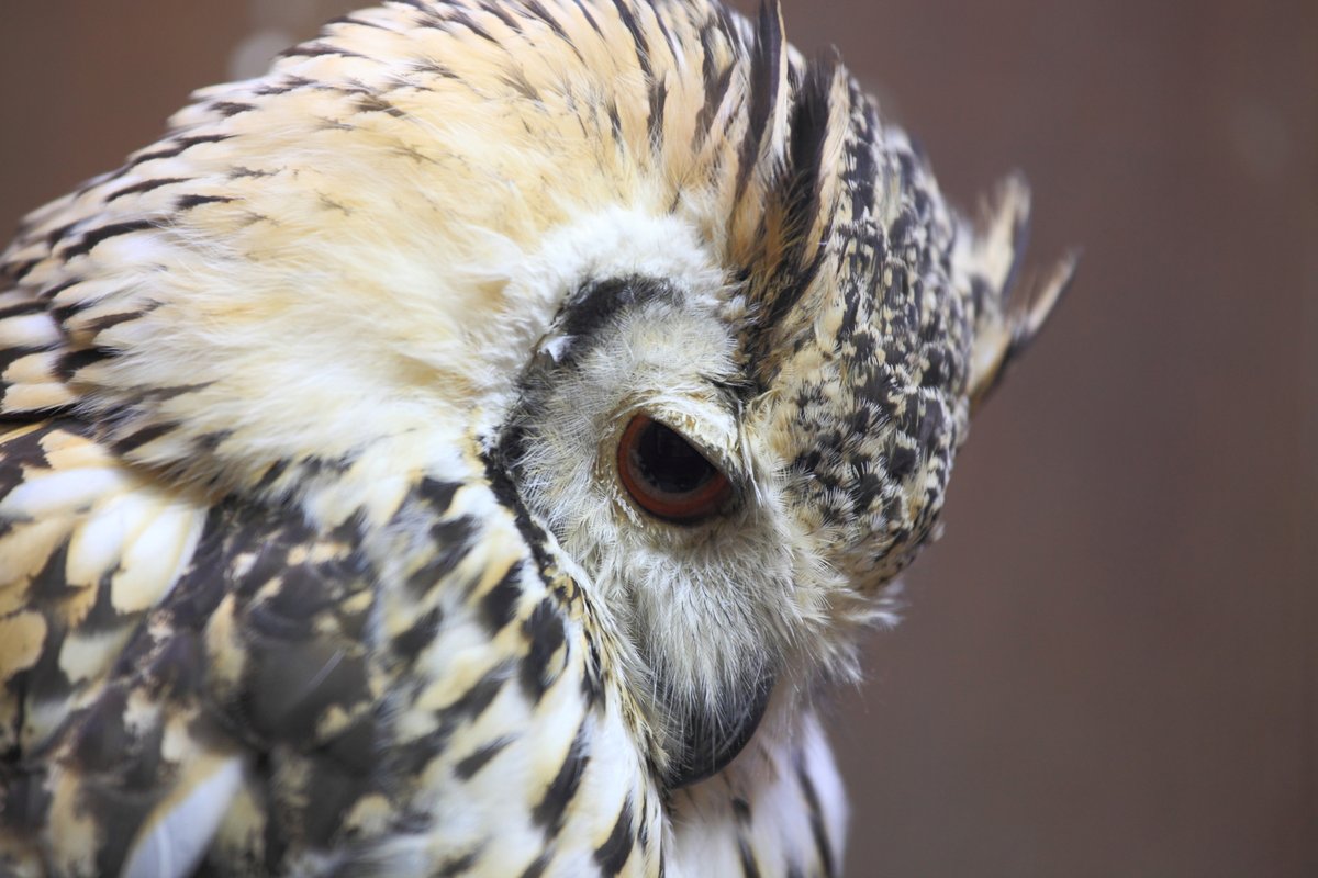 #Yesterday i was clever and I wanted to change the world ...
#TodayInHistory  I am #wisewords , so I want to change #myself !