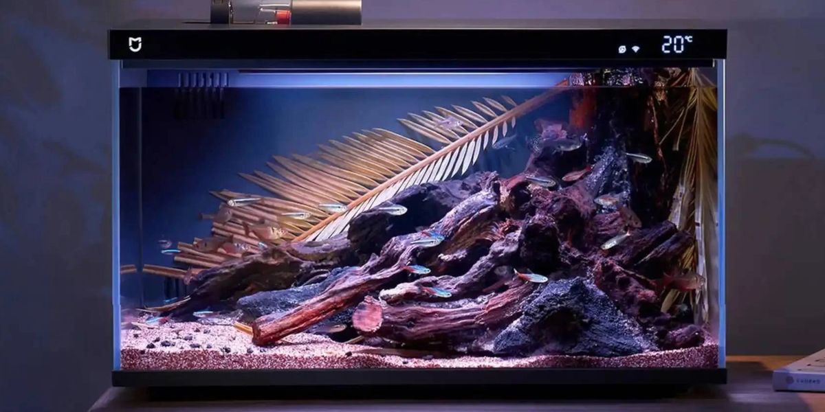 Xiaomi sorprende con el primer acuario que se limpia solo y da de comer a tus peces a un precio imbatible dlvr.it/SgCsPb