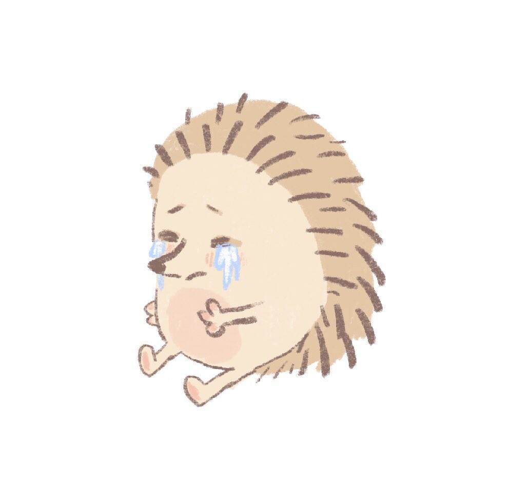 Chockyhog tweet media