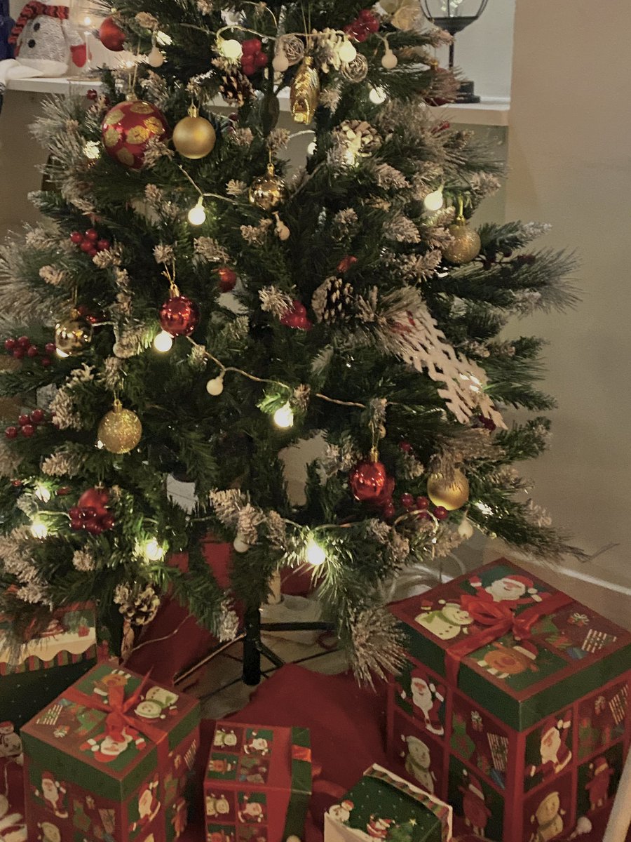 을지로 와인바 노이

가게 분위기도 너무 따뜻하고 메뉴 진짜 다 맛있는데 바스크치즈케이크가 진짜 태어나서 먹어 본 바치케 중에 제일 맛있음… 한번만 먹어볼사람.. 함번만함번만.. 
직원분들도 진짜대박 친절해요..🥹

#마크한테만_공개