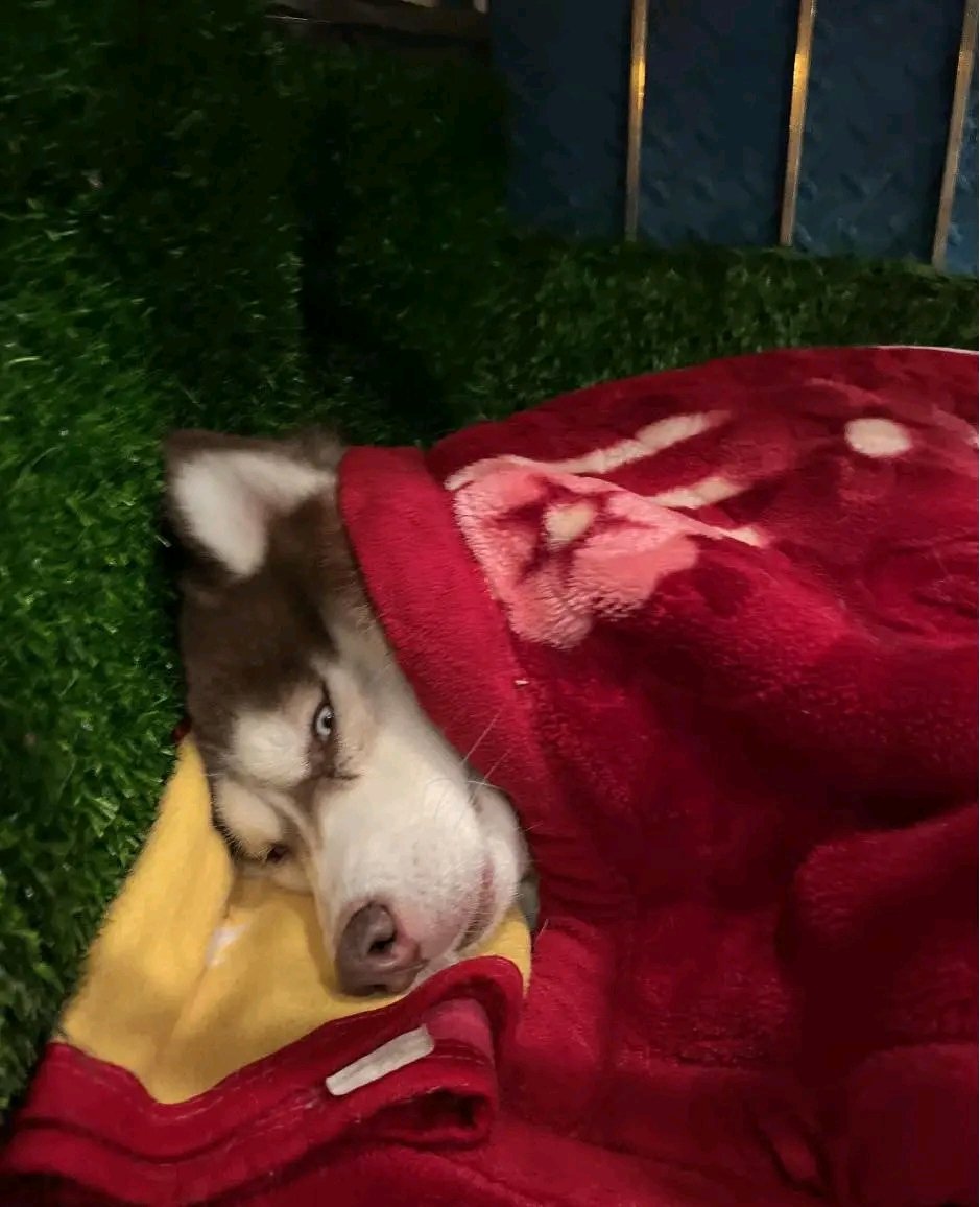 Twotawsan01's tweet photo. Yung gusto mo nang matulog pero wala paring tigil yung kapit bahay niyo kaka videoke. https://t.co/E0KFHeNEsS