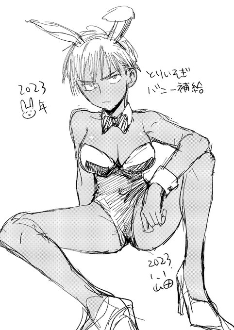 今取り組んでる仕事があんま絵を描かないやつでこの3日くらい絵を描けてなくて狂いそうだったので取り急ぎ褐色不機嫌バニー補給させてください…… 