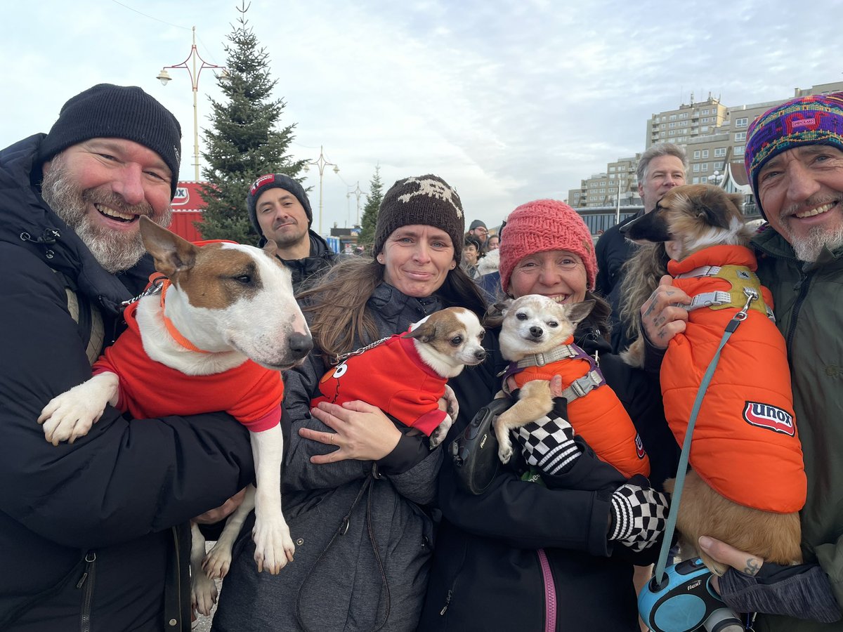 overdiepm's tweet photo. De honden zijn er klaar voor….  @omroepwest https://t.co/rptpqWPeF1