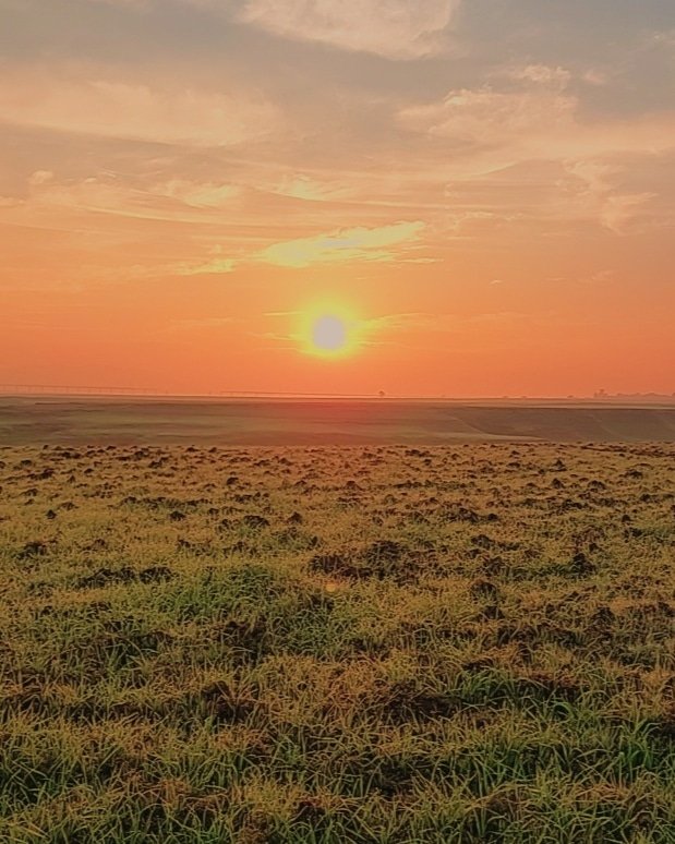 Good Morning 🌄 2️⃣0️⃣2️⃣3️⃣