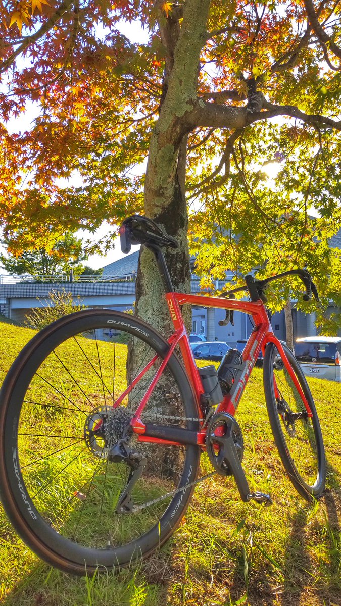 tacky999's tweet photo. 東三河で自転車を楽しんでおります。
いつまでも自転車に乗れるように健康でありたいと努める日々です。 https://t.co/wyqyvkTbNk
