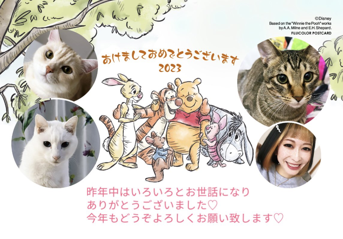 cookchan_jm's tweet photo. A HAPPY NEW YEAR 2023♡

去年は
ティガーに出逢えた年です🐯💕
ますます賑やかなコックﾁｬﾝ一家を
今後もよろしくお願いします🥰❤️

今年は
いっぱいツイートします!!!笑 https://t.co/eaHdXU6z0K