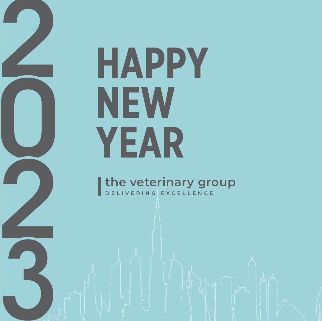 TheVetGroupLLC1's tweet photo. Welcome 2023! 

Happy New Year, from us to you 🤍

#happynewyear2023 https://t.co/pW63pC1RrE