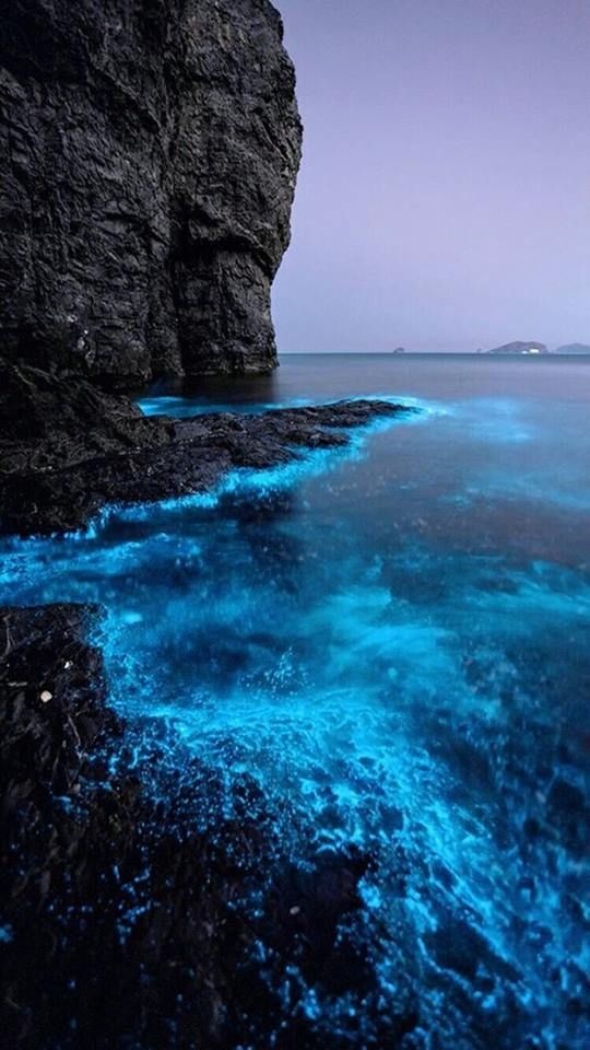 nature_forum's tweet photo. So beautiful #nature https://t.co/GOqlkE7YYK