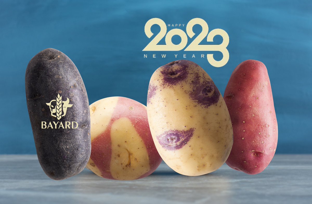 maisonbayard's tweet photo. ⭐️ Nous vous souhaitons une merveilleuse année 2023 pleine d’amour, de gourmandise et de bonheur ⭐️ Nous vous remercions sincèrement pour votre fidélité tout au long de cette année ⭐️

Françoise, Florent, Adèle, Bertrand &amp; toute l’équipe de la Maison Bayard 

#bonneannee #2023 https://t.co/E5lqaP8jl2