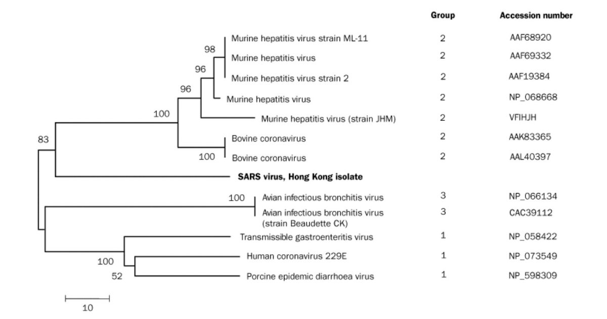 world_epidemic's tweet photo. This was the phylogentic tree used in our report in 2003. Compared with the trees nowaday, it showed how little we knew about coronaviruses 20 yrs ago. Yet, we still do not know enough about them.

#time_capsule

https://t.co/xVWl1j3K1l https://t.co/24OaTf2tCg