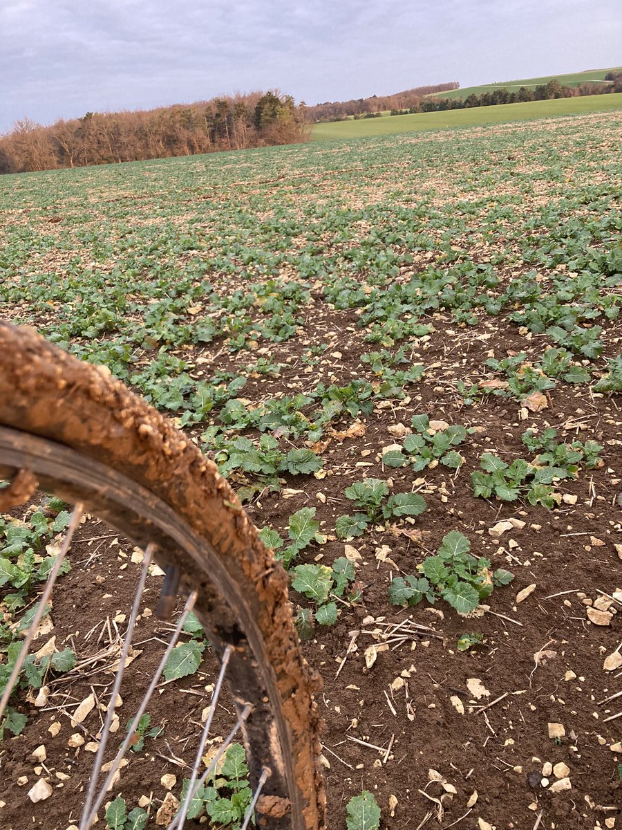 BONNIN1402's tweet photo. #TourdePlaine à 🚵♂️ pour être #BasCarbone #BasGES et rester aux côtés de la #MoutardeDeBourgogne 🍯 et du #ColzaAssocié 🐝.
Est ce que certains points TK sont à revoir pour éviter de dérailler mon Complice? Un vœu pieux sans doute. https://t.co/E6yuKwsVGY