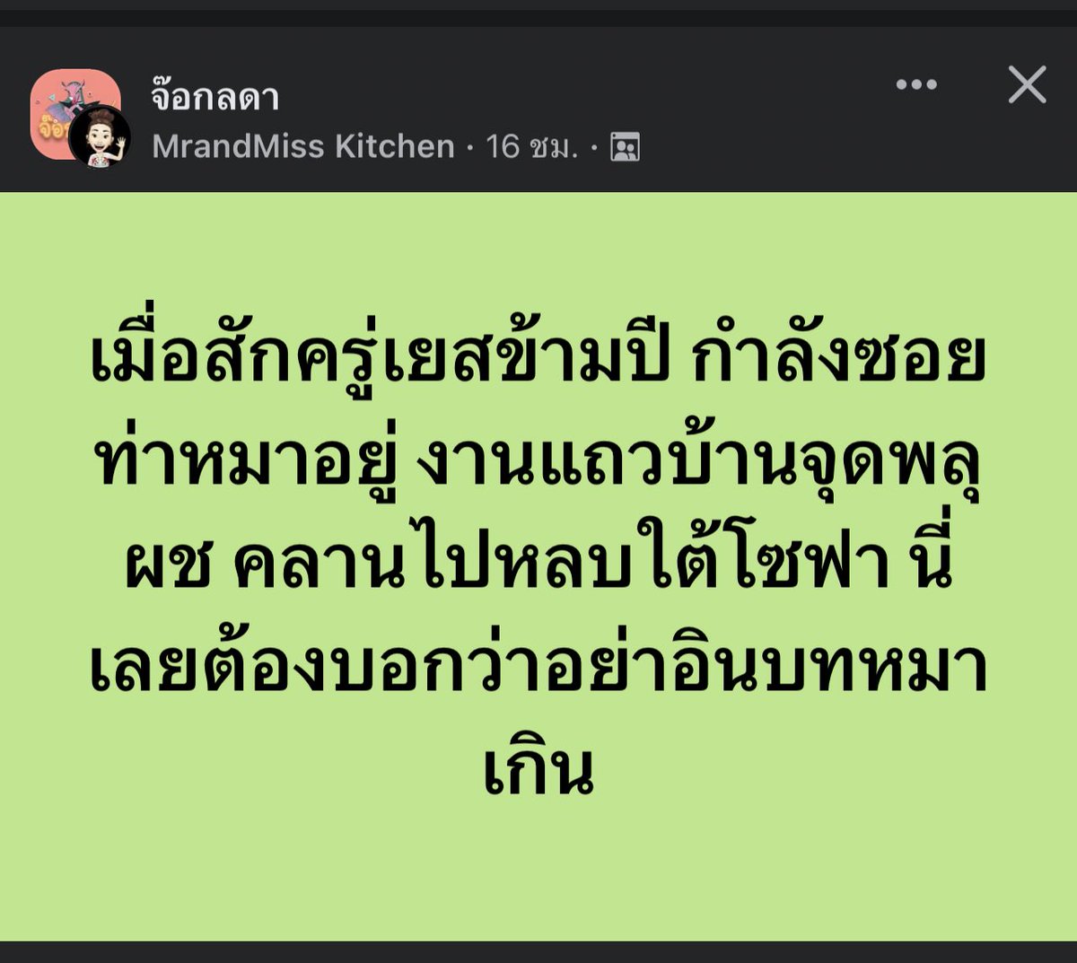 ↬ แ ม ว โ พ ง 𐚁 𓃠༄.° tweet media
