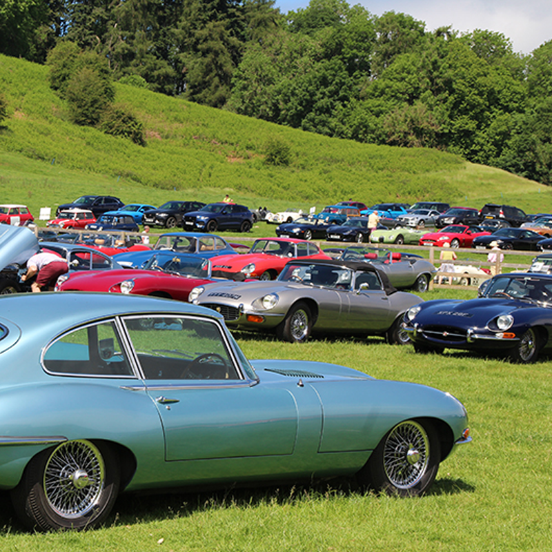 Jaguar E-type Club tweet media
