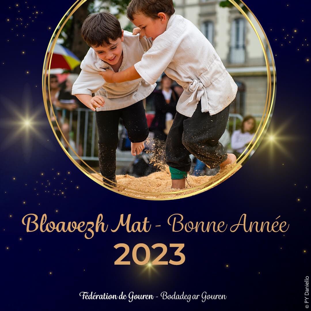 Meilleurs vœux pour cette nouvelle année 🎊🎉🦍 Qu’elle soit pleine de bonnes choses et de Gouren bien sûr 😀