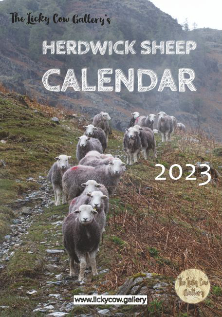 LickyCowGallery's tweet photo. A Very Happy New Year from all at the Licky Cow Gallery!
We have completed all calendar printing for this year and have a limited number left
Get them here https://t.co/ueYgHGzRcq while stocks last. https://t.co/1bIQCBekzW