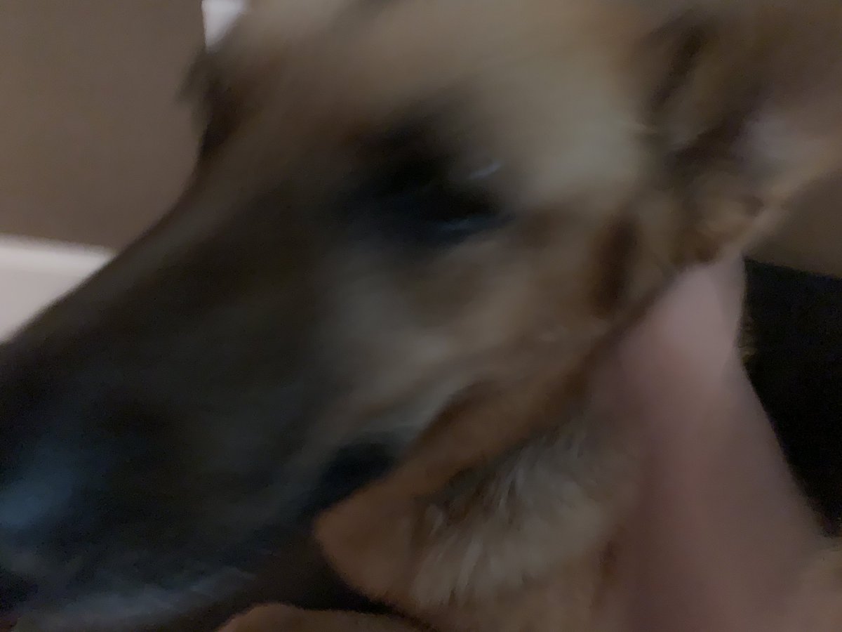 John von Normal. (@ruperttruther) on Twitter photo 