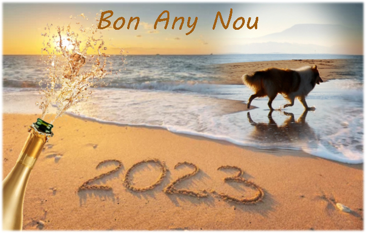 Super Àvia Catalana tweet media