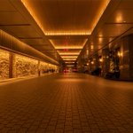 ツイートに含まれる画像