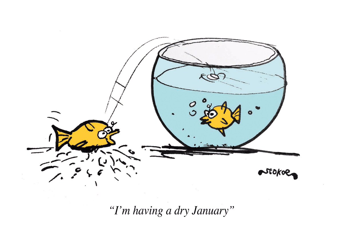 Dry January cartoon 

#HappyNewYear2023 #NewYear #Resolution #DryJanuary2023 #cartoon by #stokoecartoons from Private Eye