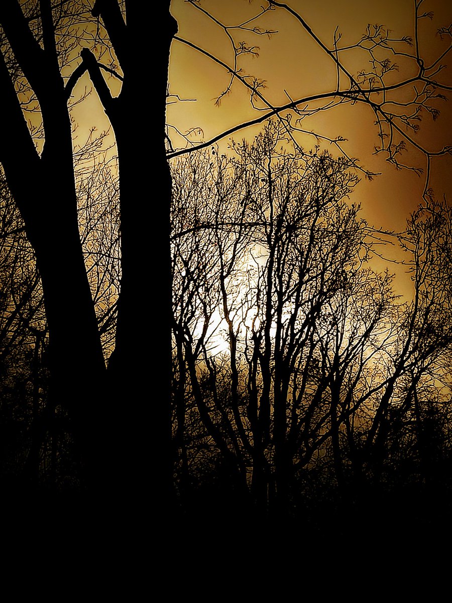 Ein neues Jahr. 🍾
Alles ist möglich. 🍀
365 x Wunscherfüllung. 🎁
Mach das Beste draus.
Du kannst das. 👨‍💼👩‍💼🎊
Alles Liebe Björn. 🙂