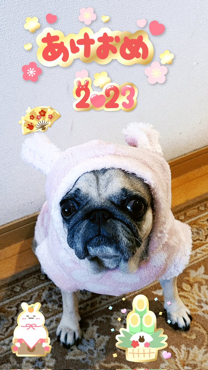 BeacsTokyo's tweet photo. あけましておめでとうございます🎍 https://t.co/WIXrxo9bRO