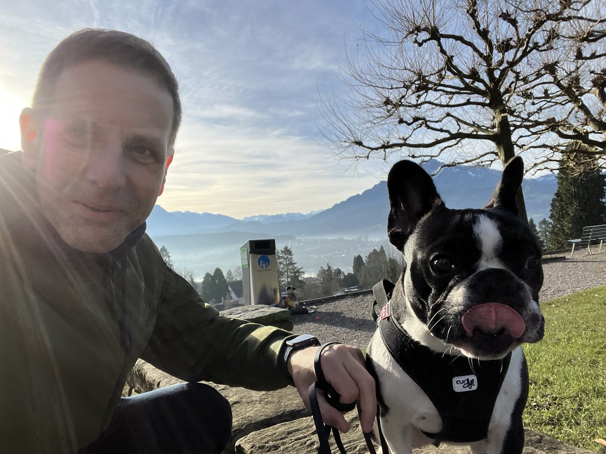 nebssov's tweet photo. #willkommen2023 #bully Moin a Moin 2023 #Switzerland #dog https://t.co/g7PSTJ28Lo