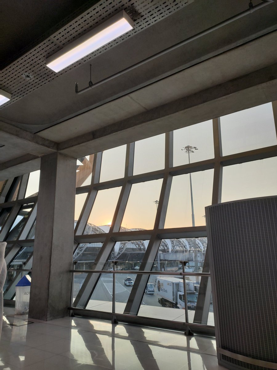 Morphs | SYG | RDG tweet media