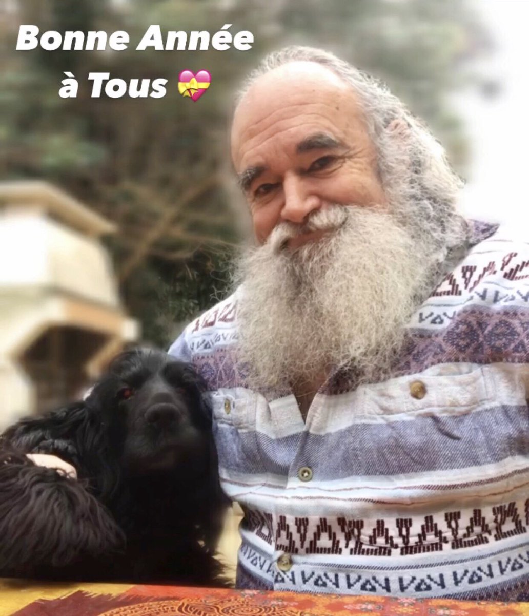 Cathare 11 tweet media