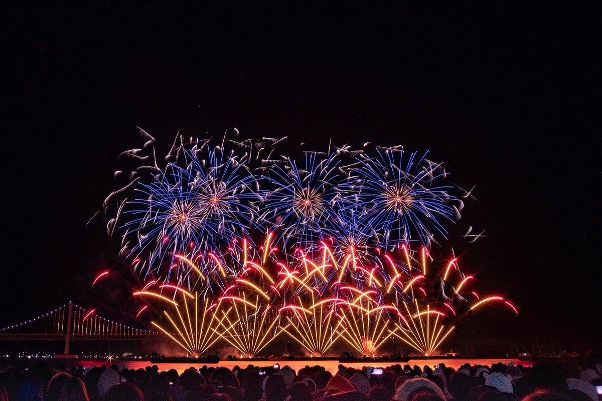 Moonbirds of Korea tweet media