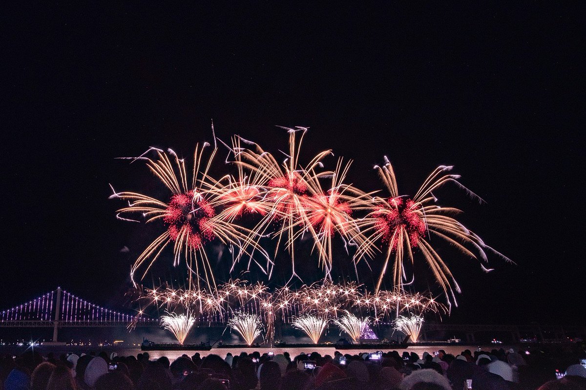 Moonbirds of Korea tweet media