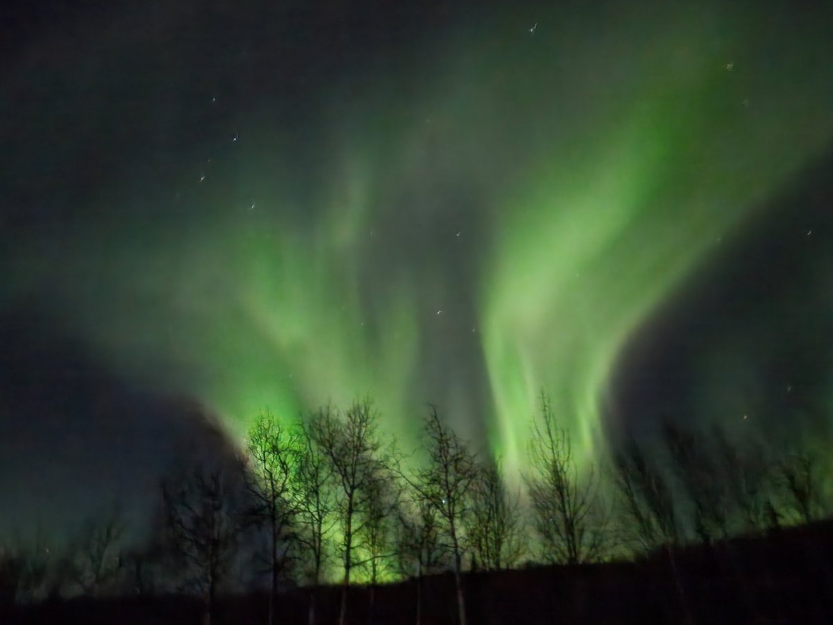 aleary15's tweet photo. @AuroraNotify Happy New Year and thanks from Nenana! https://t.co/7JjOBItawx