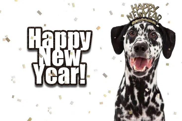 cccraiken's tweet photo. Happy New Year from our Family to yours! May 2023 be the best year yet!!! https://t.co/qW9jry0RaF