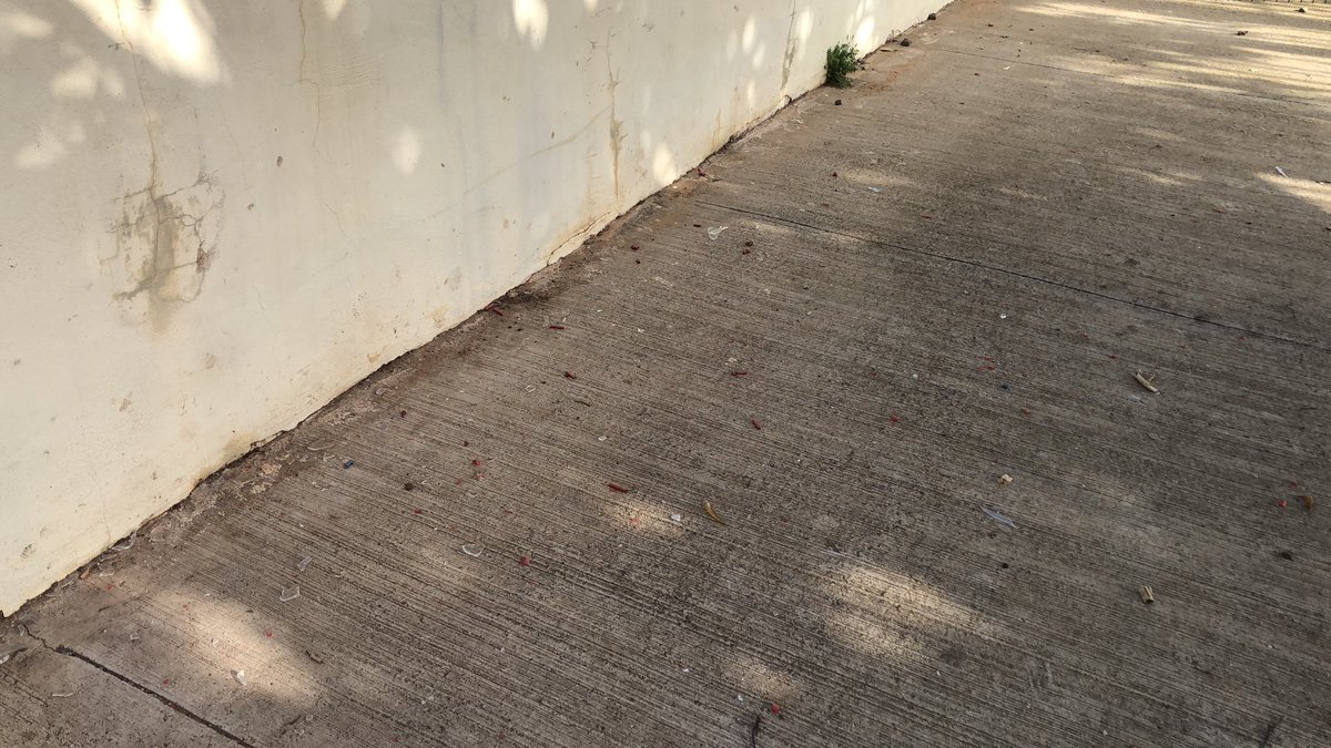 pikifer's tweet photo. Hola @aytolalaguna_es @lalagunatecuida el parque para perros de Las Torres de Taco tiene más de una semana con cristales rotos de botellas que son un riesgo para los usuarios y hoy ya está lleno de restos de petardos, ¿podrían limpiar por favor este parque con alguna frecuencia? https://t.co/tmhS3ysWoJ