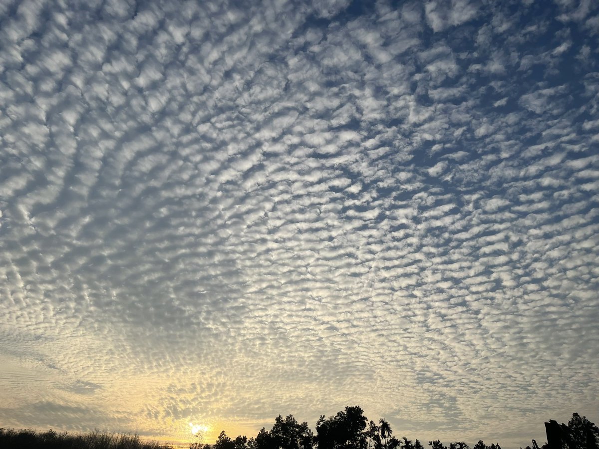 สวัสดีปีใหม่ 2023 ครับ ขอให้สิ่งศักดิ์สิทธิ์คุ้มครองให้มีสุขภาพแข็งแรง มีความสุขมากๆ รวยๆเฮงๆ