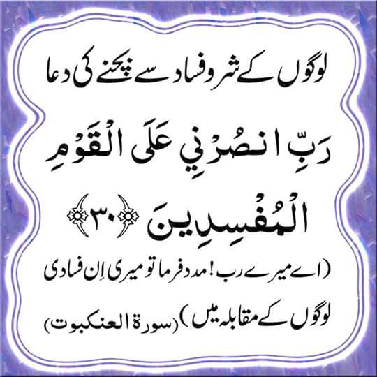 Malaika Cheema tweet media