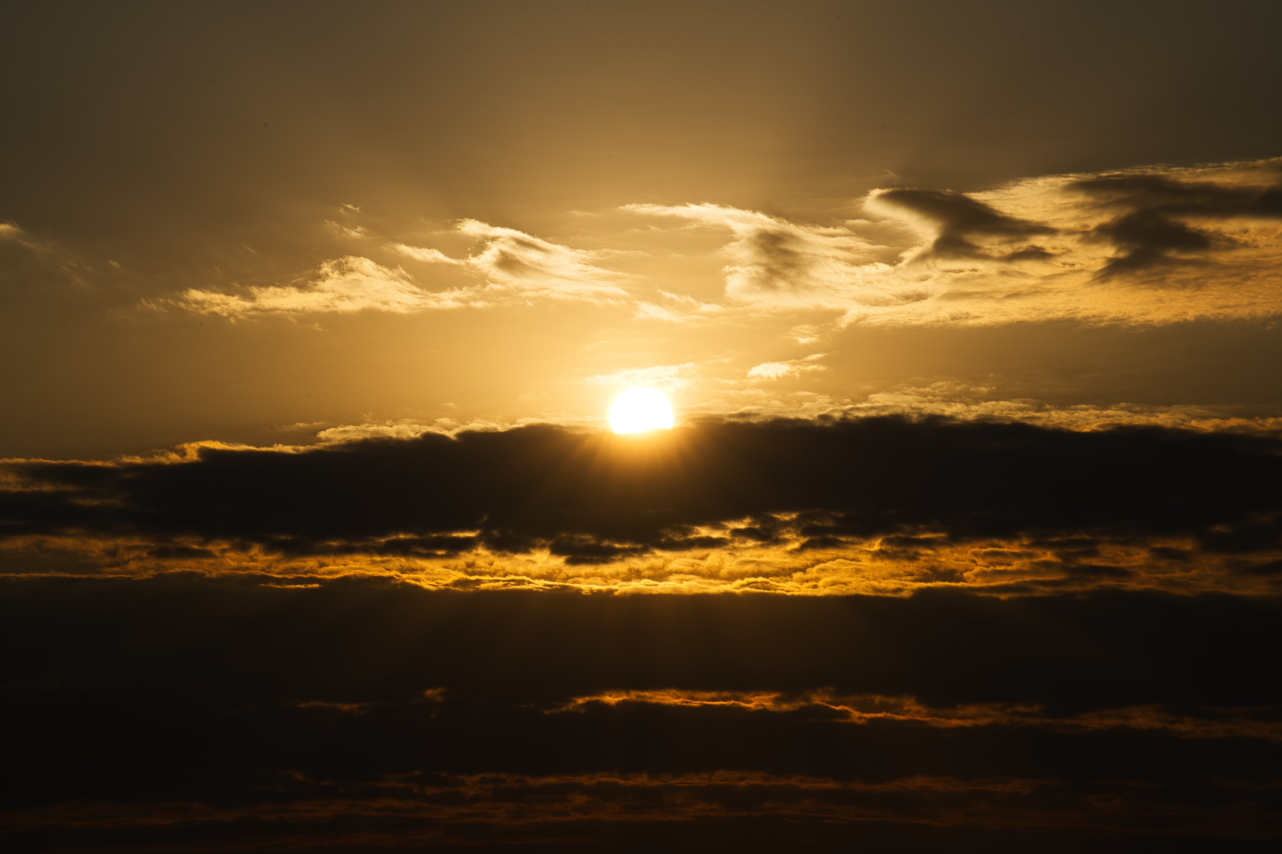 吉川広家 (hiroie_kikkawa) / Twitter