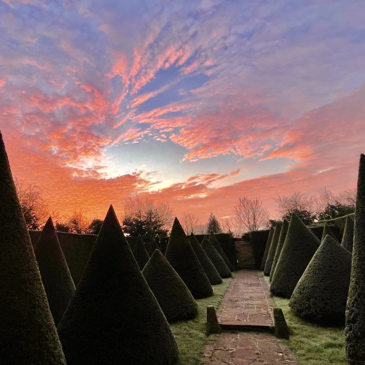 TheMontyDon tweet picture