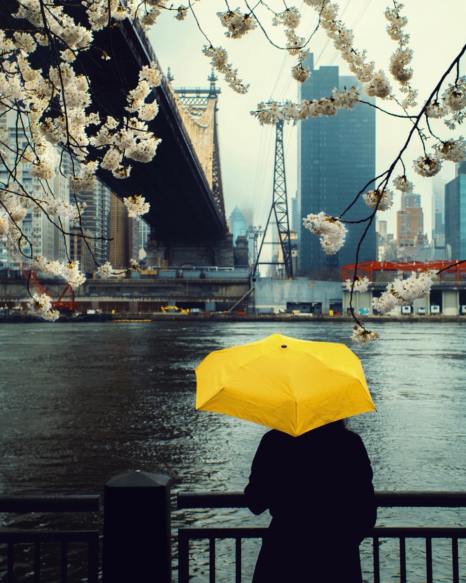 GM &amp; Happy 2023

"Sweet Solitude" by <a href="/monaris/">monaris</a>