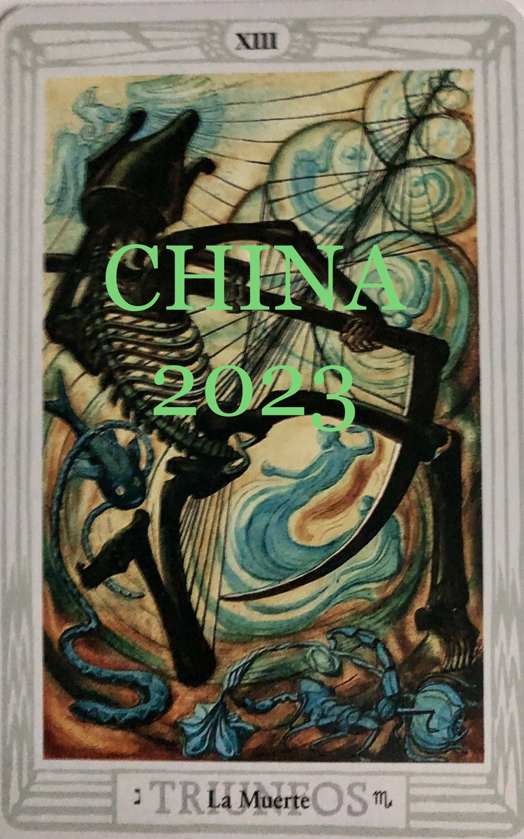 Felipe Fernandes tweet media