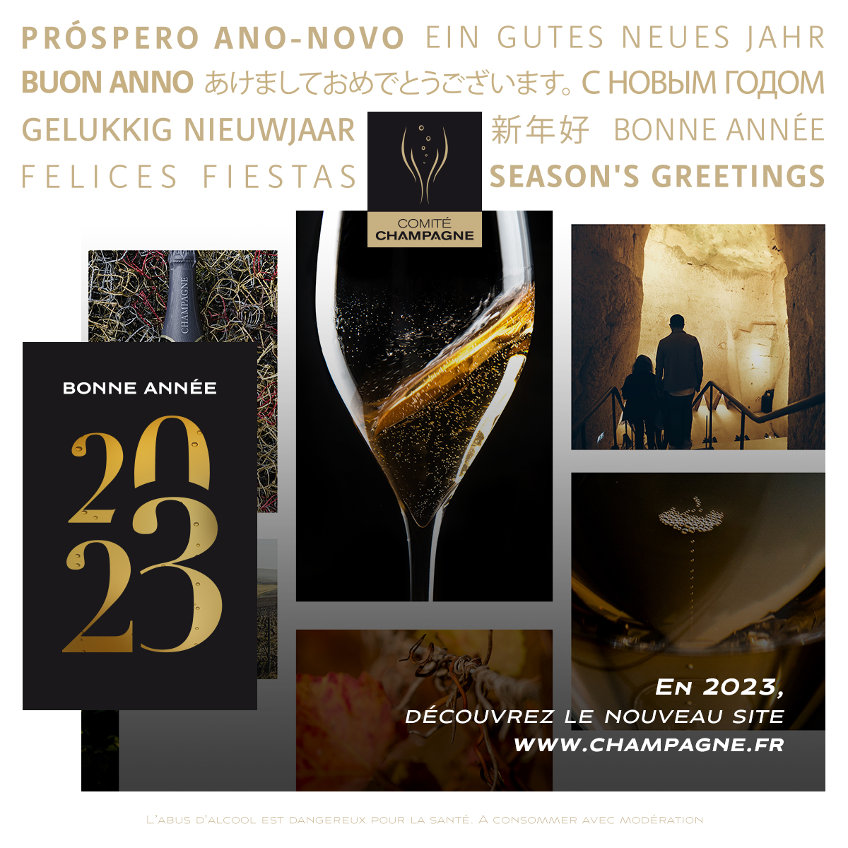 Meilleurs vœux pour cette nouvelle année 2023 !