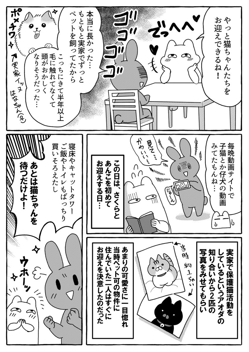twitterで知り合ったオタク女子が家を買った話。2 https://t.co/lHqTaXidrM #Amazon @Amazonより 

家マンガの2巻が公開されたので、よかったら読んでみてください!無料だよー!

描き下ろしには、うちで飼ってる猫2匹の出会いのマンガが入ってます。(まるおさん作)1巻ももちろん無料です! 