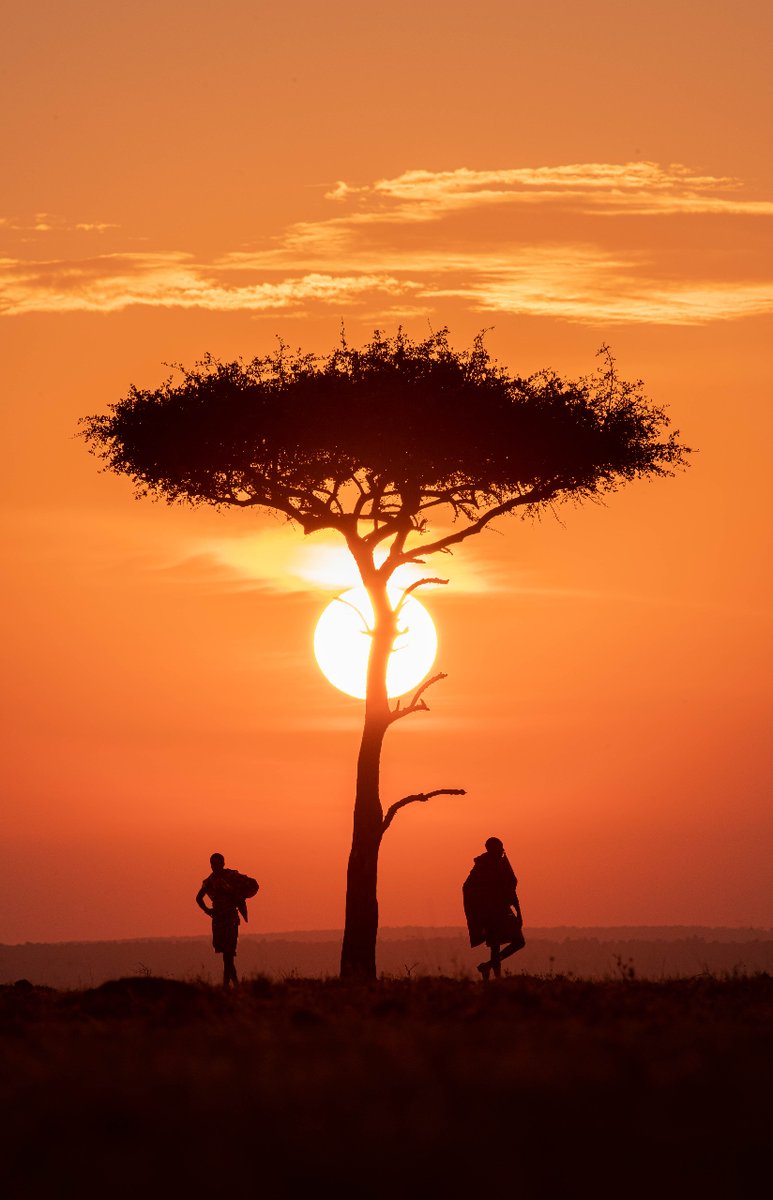 ADCAMsocial's tweet photo. Damos la bienvenida a 2023 con este increíble atardecer, la luz mágica nos baña y bendice este año que empieza 🌅

 #kenia #tesorosafricanos #masaimara #adcamproject #viajesquetransforman #viajesqueinspiran #conoceafrica https://t.co/ixqUbCqYsy