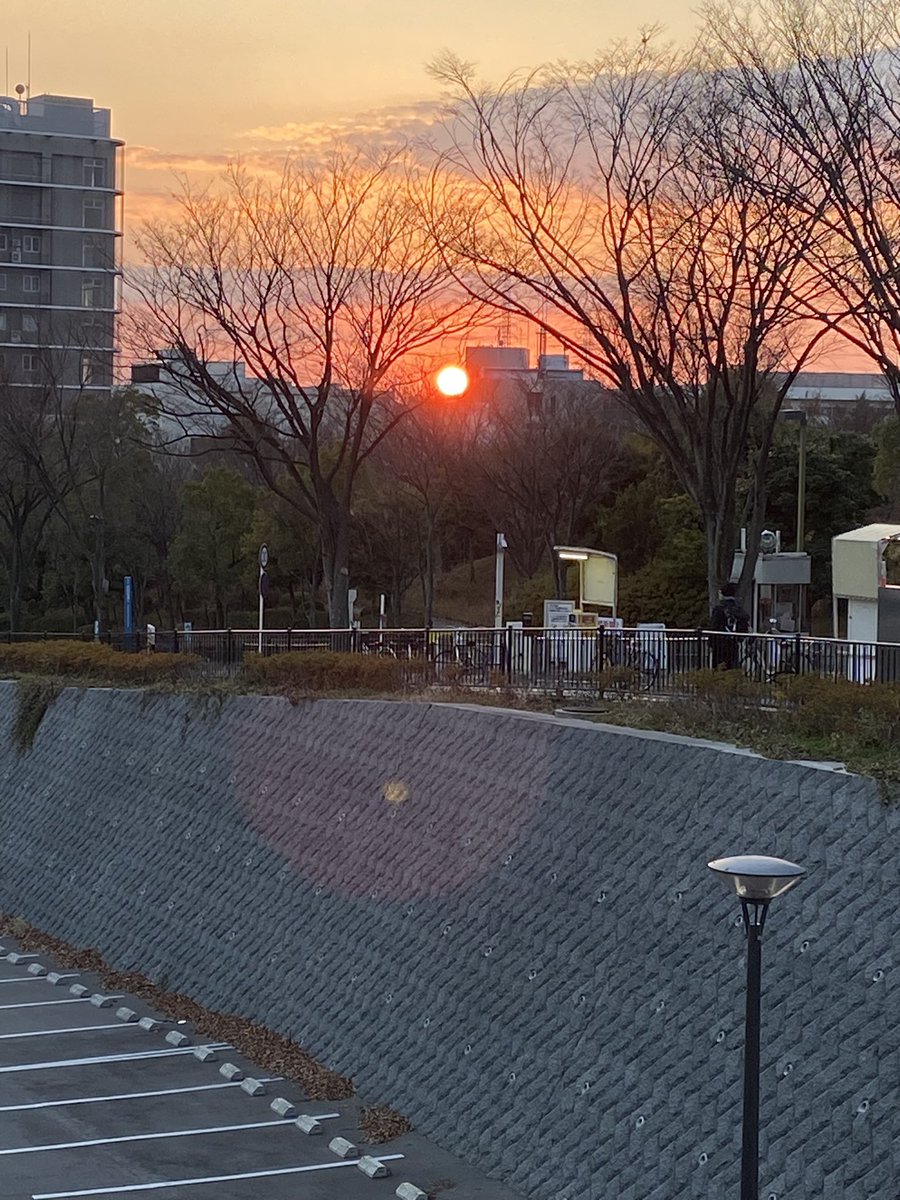 KevinSpacecat's tweet photo. 元旦。患者さんご本人は一日だって気持ちが休まる日はない。街やTVを観て、社会に置いていかれた気分になる方さえいると思う。そんな気持ちを理解するご家族や医療従事者の方々のふとした言葉に支えられて、今日一日、治療に向き合えるのではないかと思う。 https://t.co/YS8FEmNfls
