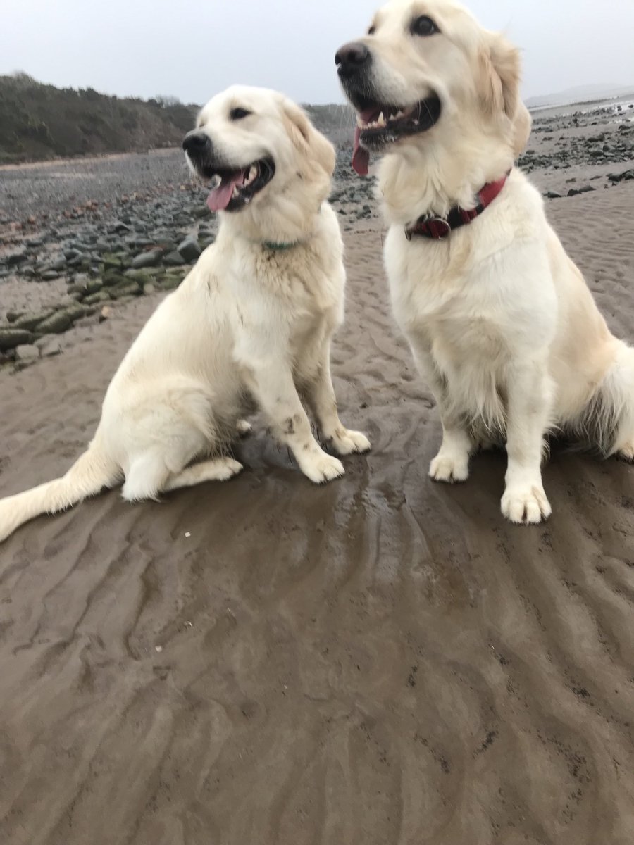 HAPPY NEW YEAR! 🎉
Wishing you a great 2023.

My husband is on the mend and got home from hospital late yesterday.  Nursing duties have commenced. Thanks for all your good wishes, definitely helped us through a worrying few days. xx